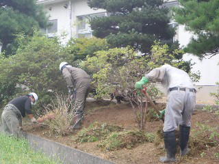 植え込みの清掃の画像