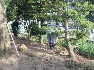 園庭の除草の画像