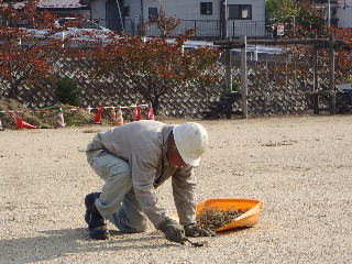 校庭の除草の画像