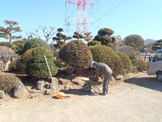 敷地内の除草作業の画像