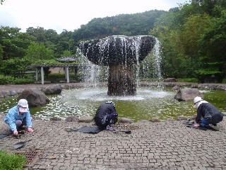 堆積物の除去の画像