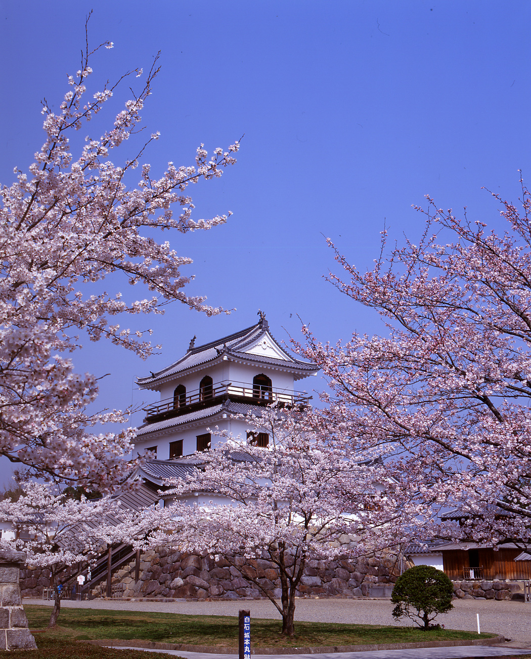 桜もきれいな白石城