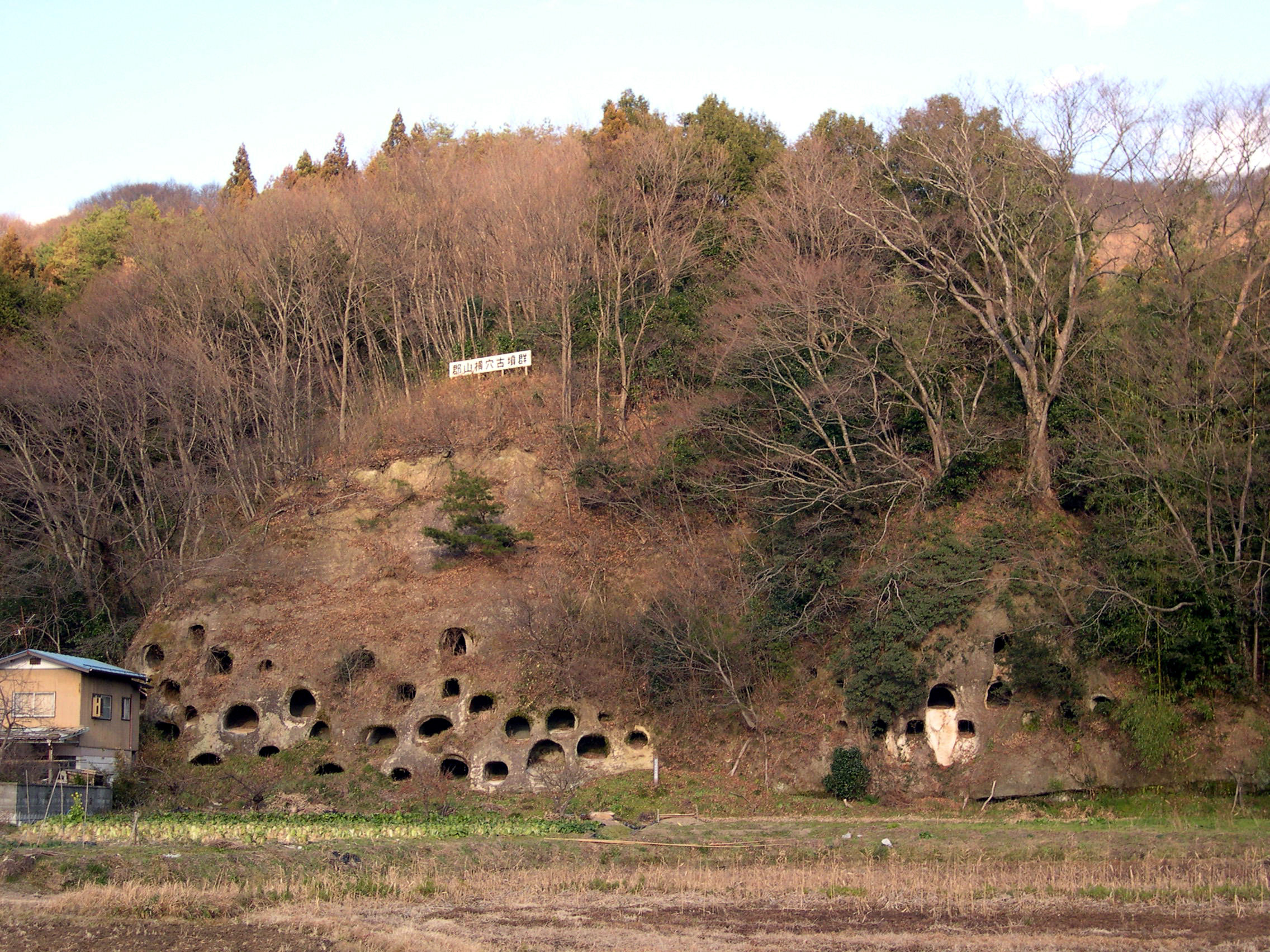 郡山横穴古墳群