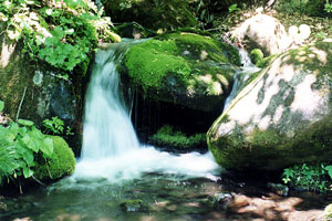 二ツ森水源の清流の写真